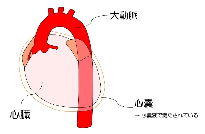 cardiac-tampo.jpg