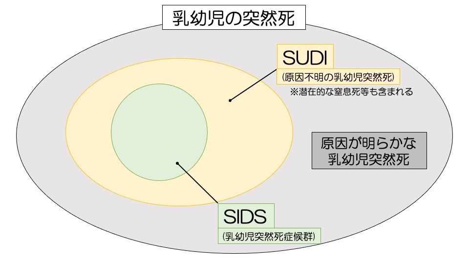 https://houigaku.blog/houigakublog/SUDI.jpg