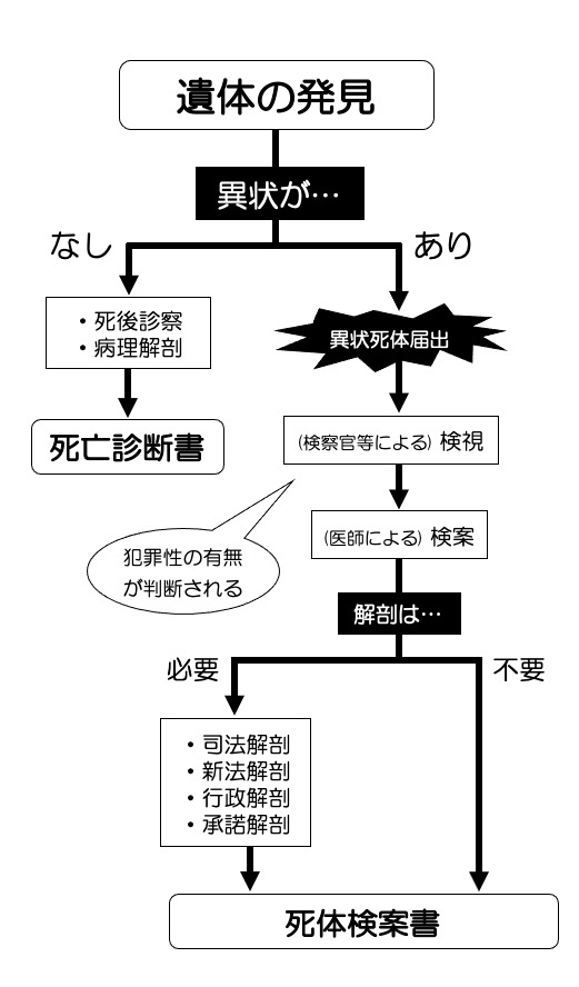 https://houigaku.blog/houigakublog/cadaver-flowchart.jpg