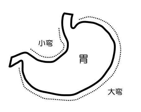 https://houigaku.blog/houigakublog/stomach-cap.jpg